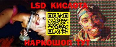шишки Лесосибирск