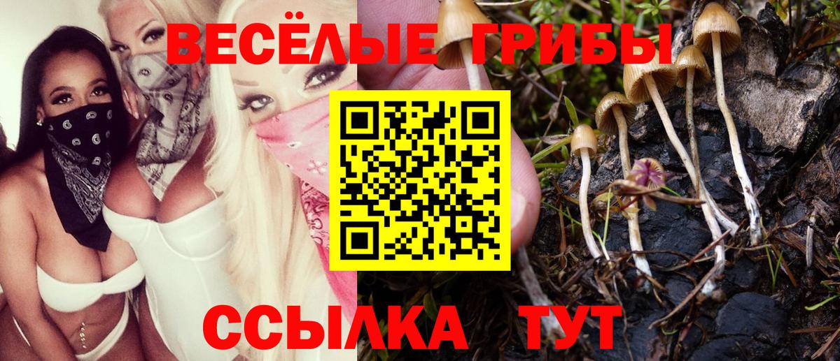 где найти наркотики  Вход с VPN  Кировск  Галлюциногенные грибы мицелий 
