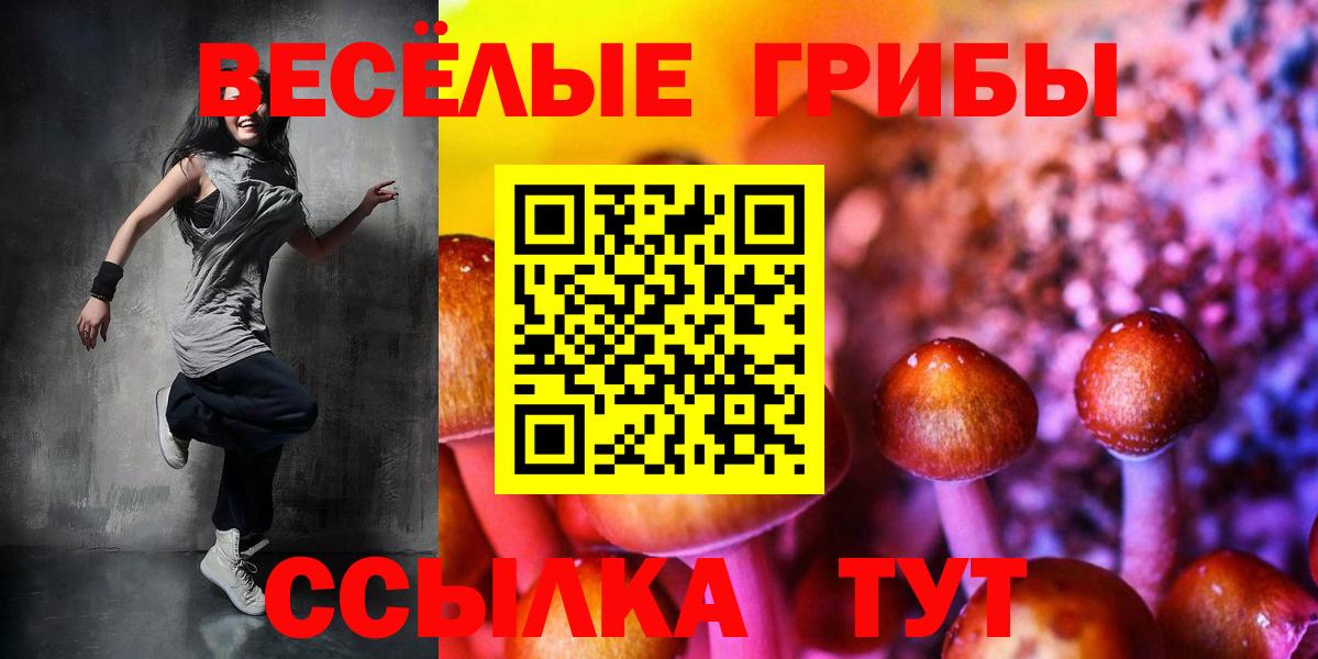 Галлюциногенные грибы мицелий Кировск